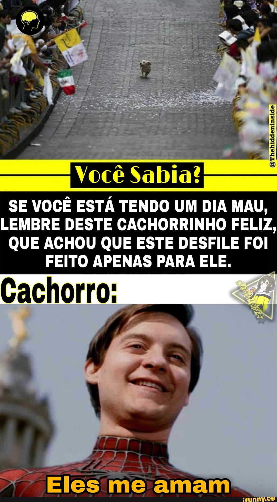 <os
EN
Você
SE VOCÊ ESTÁ TENDO UM DIA MAU,
LEMBRE DESTE CACHORRINHO FELIZ,
QUE ACHOU QUE ESTE DESFILE FOI FEITO APENAS PARA ELE.
Eles me amam