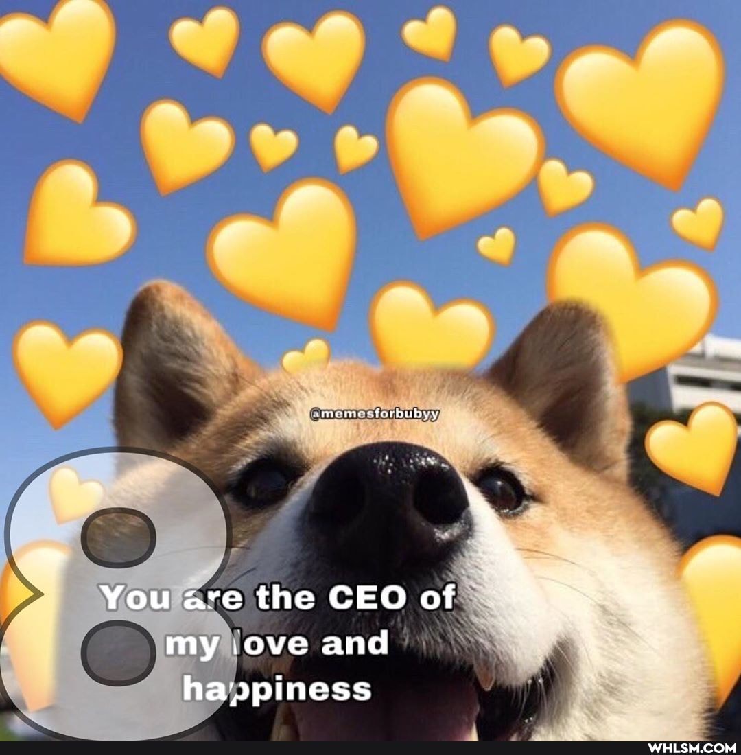 You are the CEO of my .ove and
happiness