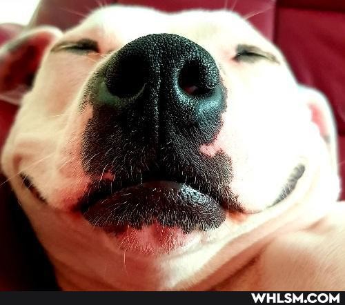 aww, dump, wholesome