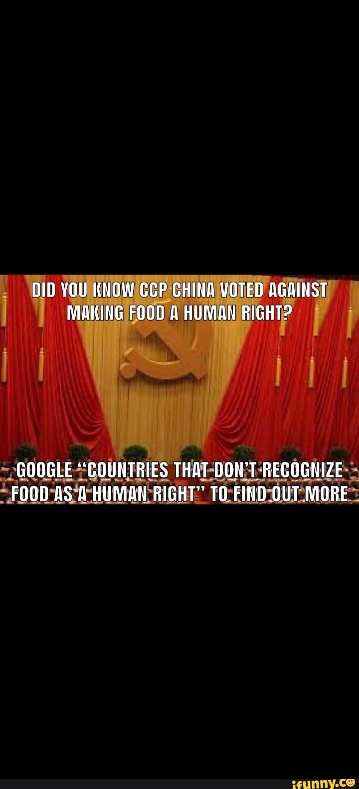 DID YOU KNOW CCP CHINA VOTED AGAINST MAKING FOOD A HUMAN RIGHT? GOOGLE