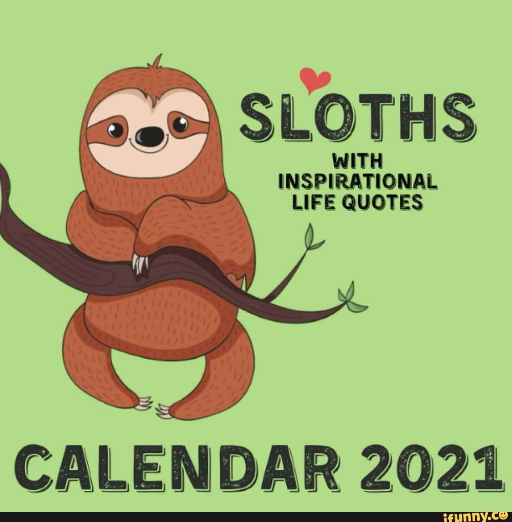 inspirational sloth quotes for a wallpaper