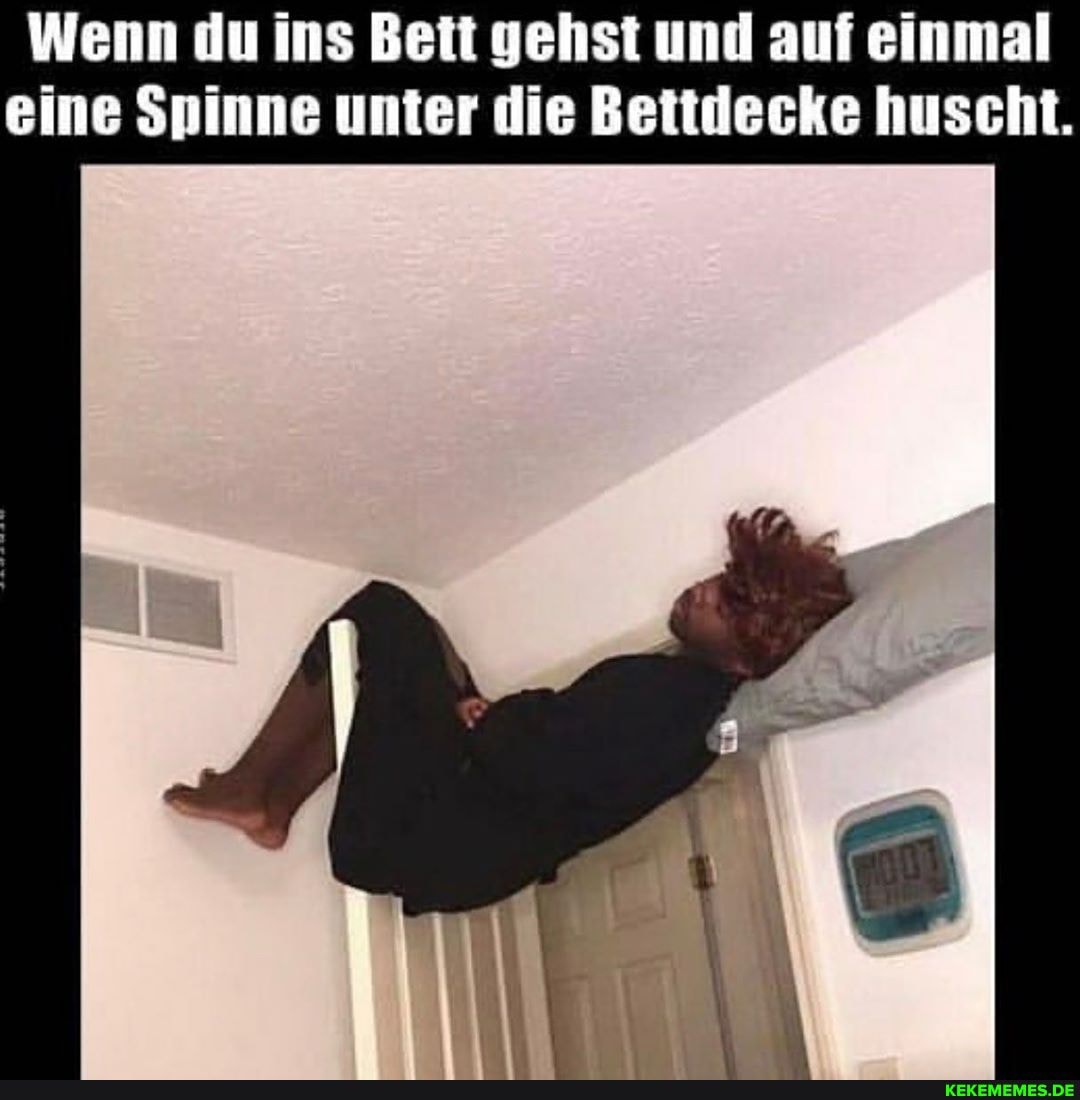 Wenn du ins Bett gehst und auf einmal eine Spinne unter die Bettdecke huscht.