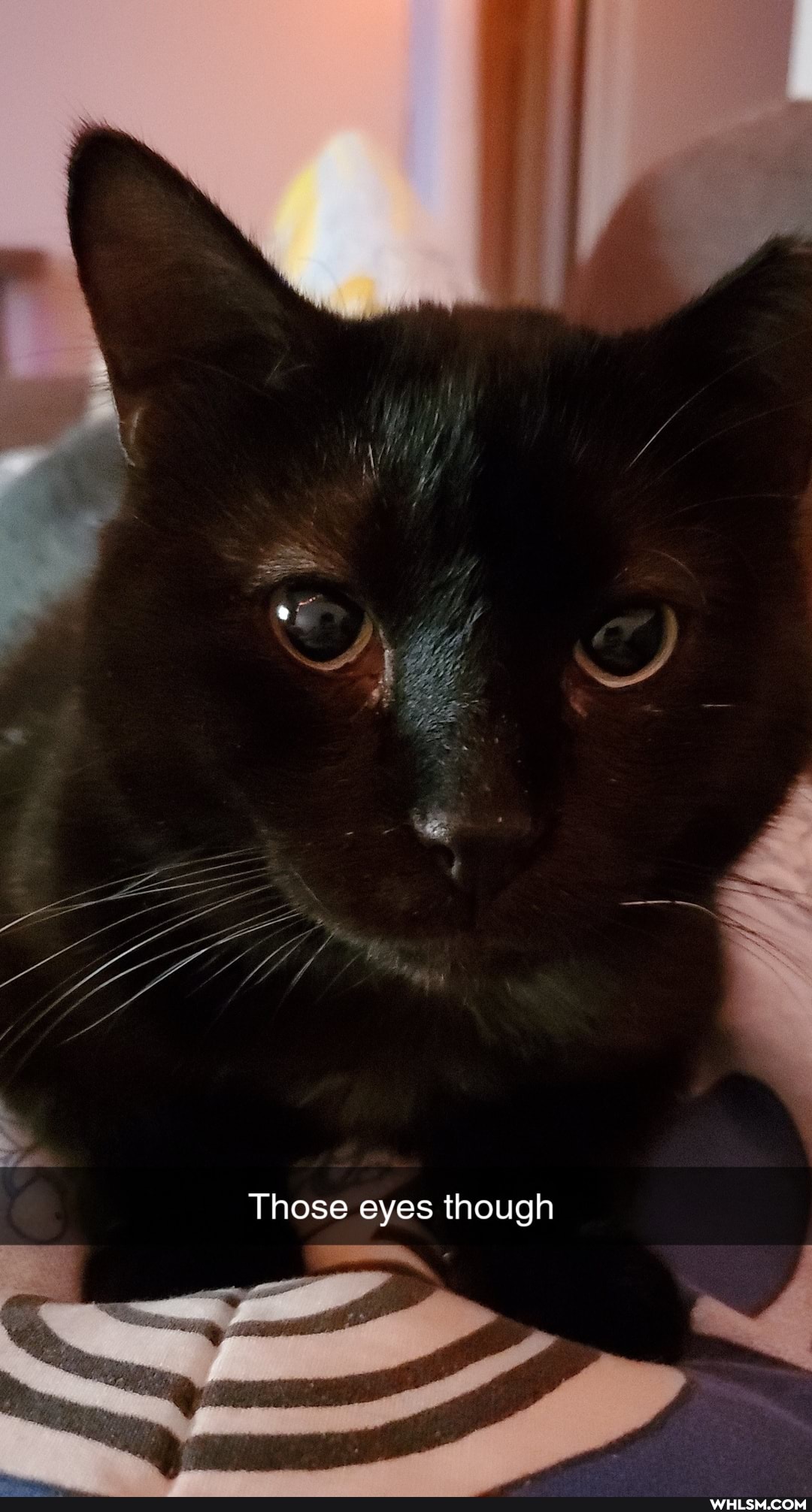 Those eyes though