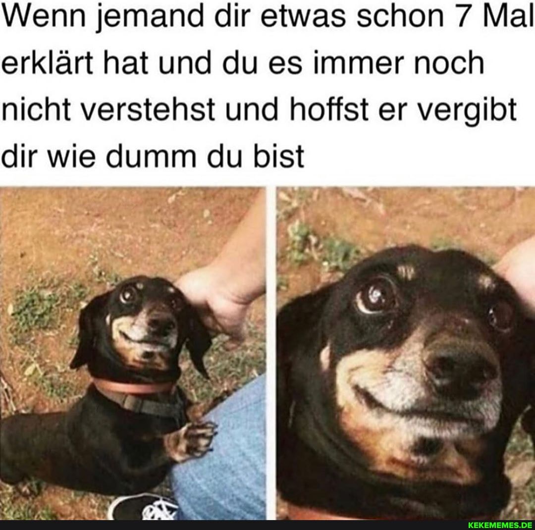Wenn jemand dir etwas schon 7 Mal erklärt hat und du es immer noch nicht verstehst und hoffst er vergibt dir wie dumm du bist
Pr