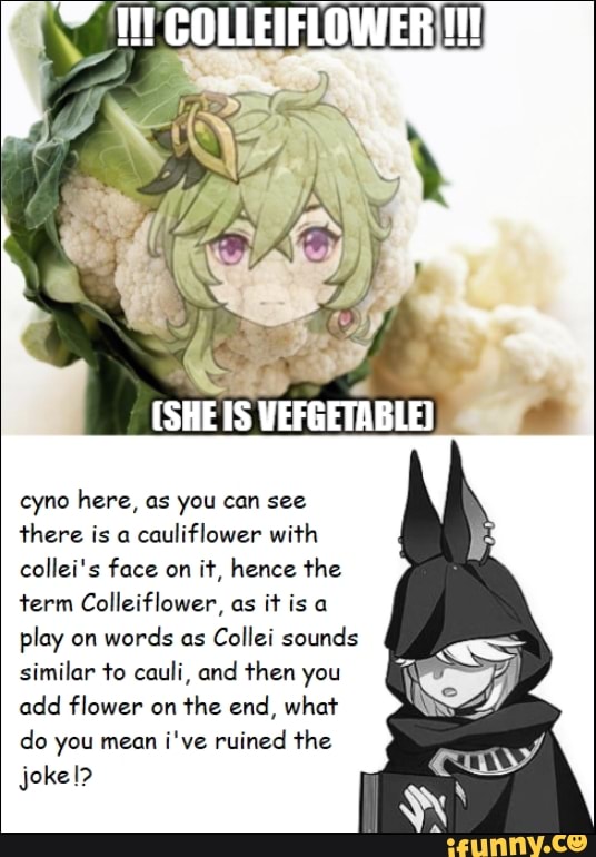 Colleiflower memes. Best Collection of funny Colleiflower pictures on