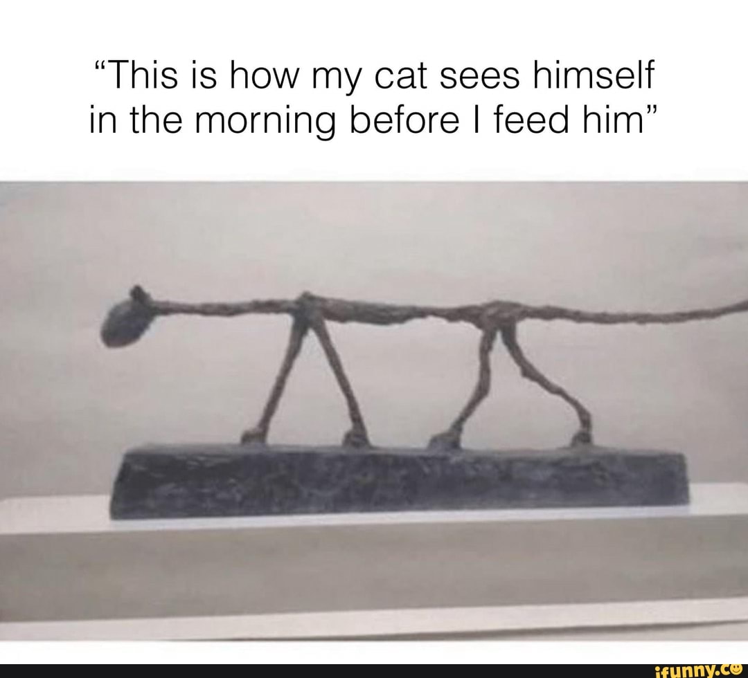 "This is how my cat sees himself
in the morning before I feed him"
4
