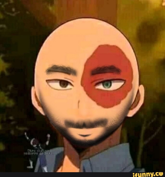 shitpost, bokunoheroacademia, animes, todorokicareca