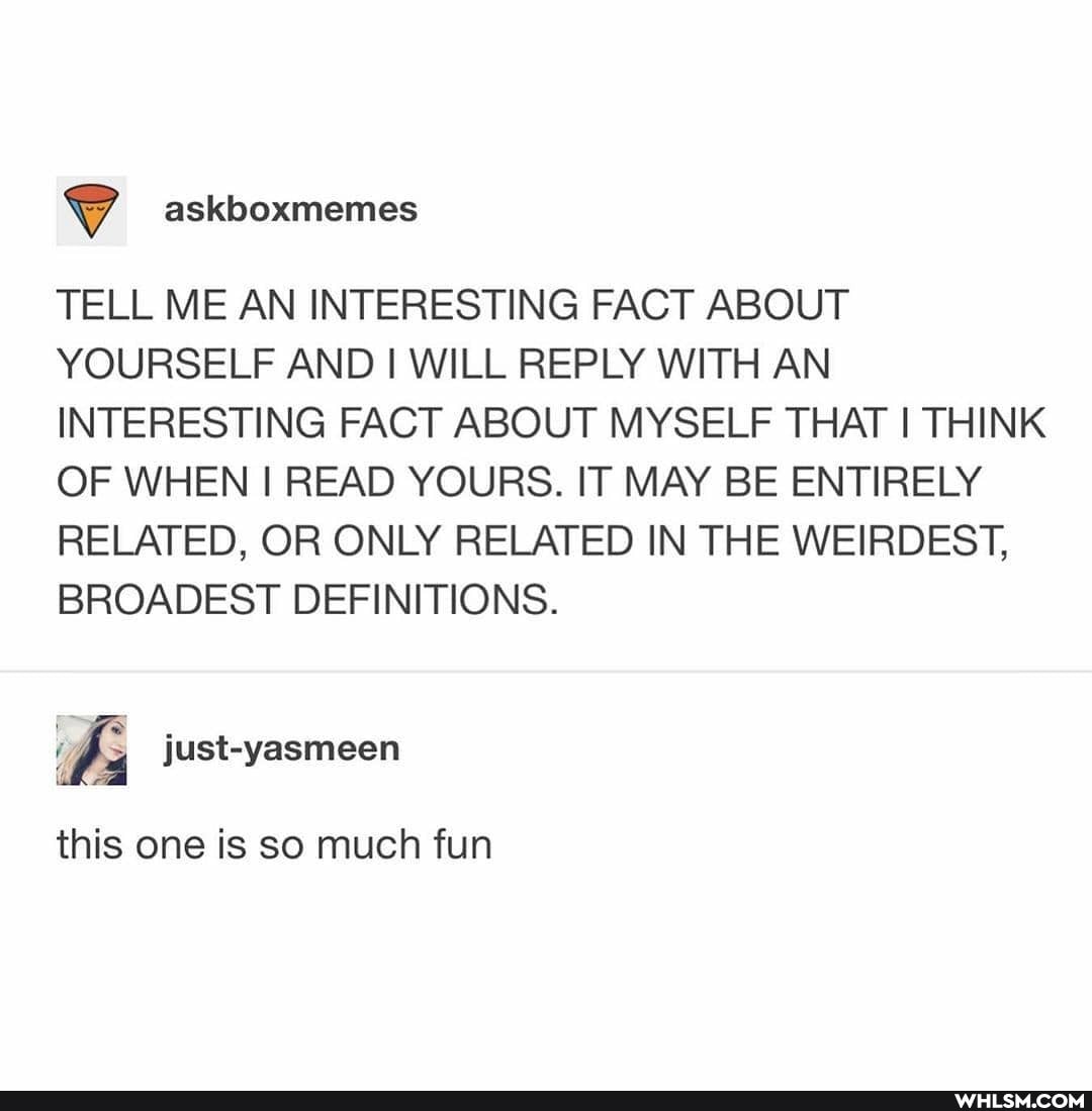 askboxmemes
TELL ME AN INTERESTING FACT ABOUT YOURSELF AND I WILL REPLY WITH AN INTERESTING FACT ABOUT MYSELF THAT I THINK OF WHEN I READ YOURS. IT MAY BE ENTIRELY RELATED, OR ONLY RELATED IN THE WEIRDEST,
BROADEST DEFINITIONS.
this one is so much fun