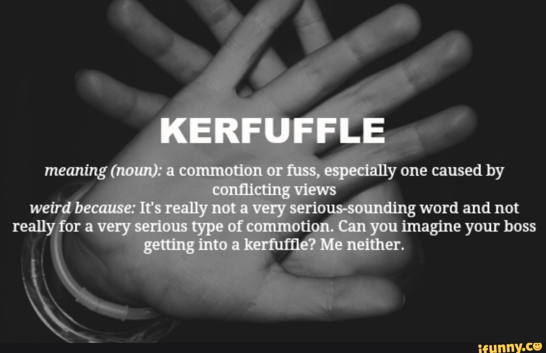 kerfuffle-meaning-nowy-a-commotion-or-fuss-especially-one-caused-by