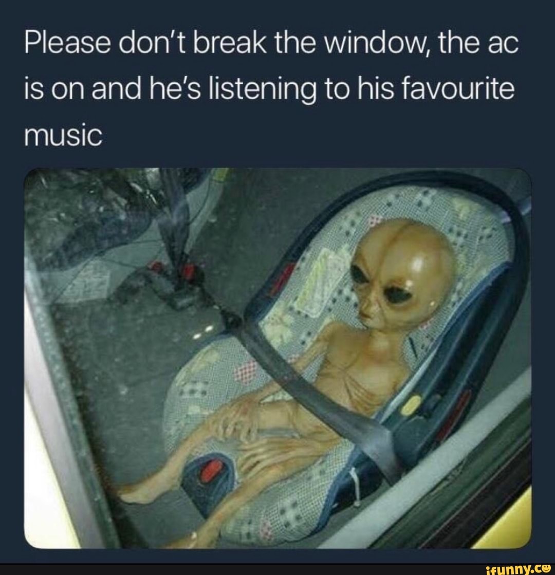 Please Don T Break The Window The Ac Is On And He S Listening To His Favourite Music