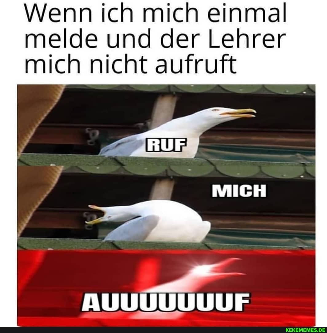 Wenn ich mich einmal
melde und der Lehrer mich nicht aufruft
AUUUUUUUF