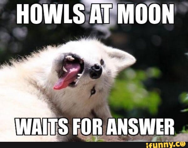 Moon Moon Wolf Ifunny