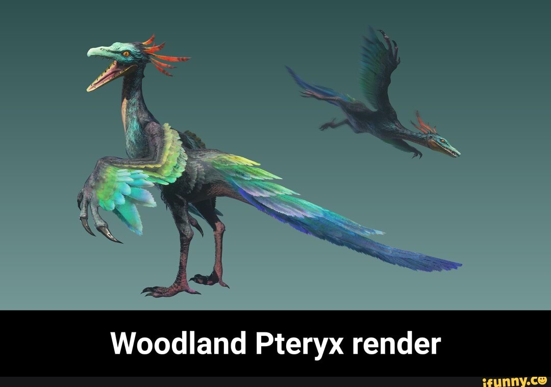 Woodland Pteryx render Woodland Pteryx render iFunny
