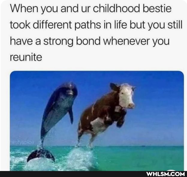 When you and ur childhood bestie took different paths in life but you still
have a strong bond whenever you reunite