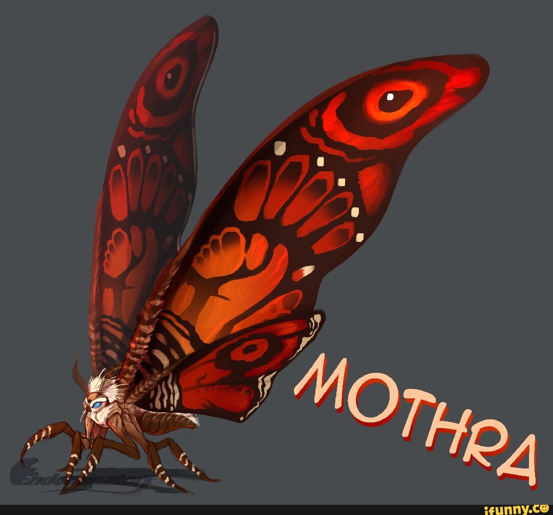 Mothra memes. Best Collection of funny Mothra pictures on iFunny