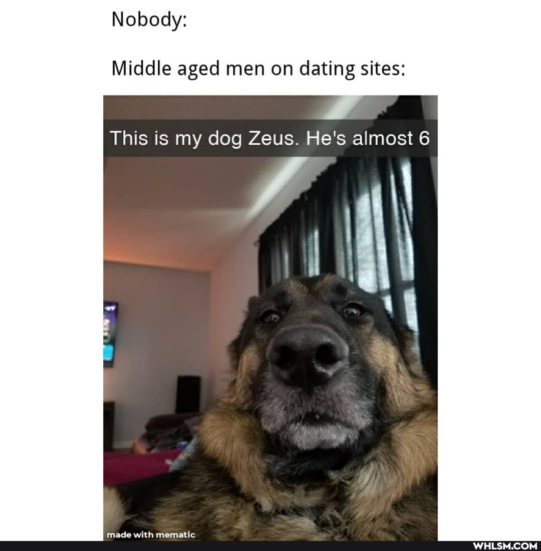 Nobody:
Middle aged men on dating sites:
This is my dog Zeus. He's almost 6
ri l\