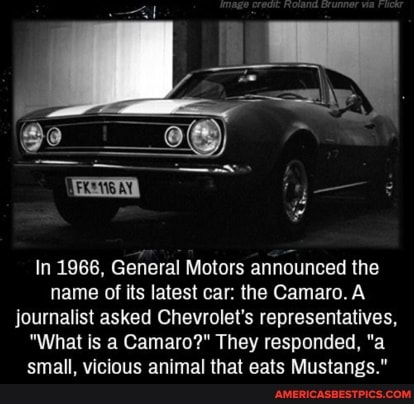 In 1966, General Motors announced the name of its latest car: the Camaro. A  journalist asked Chevrolet's representatives, 