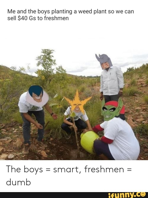 Me and the boys planting a weed plant so we can sell $40 Gs to freshmen
The boys = smart, freshmen = dumb
