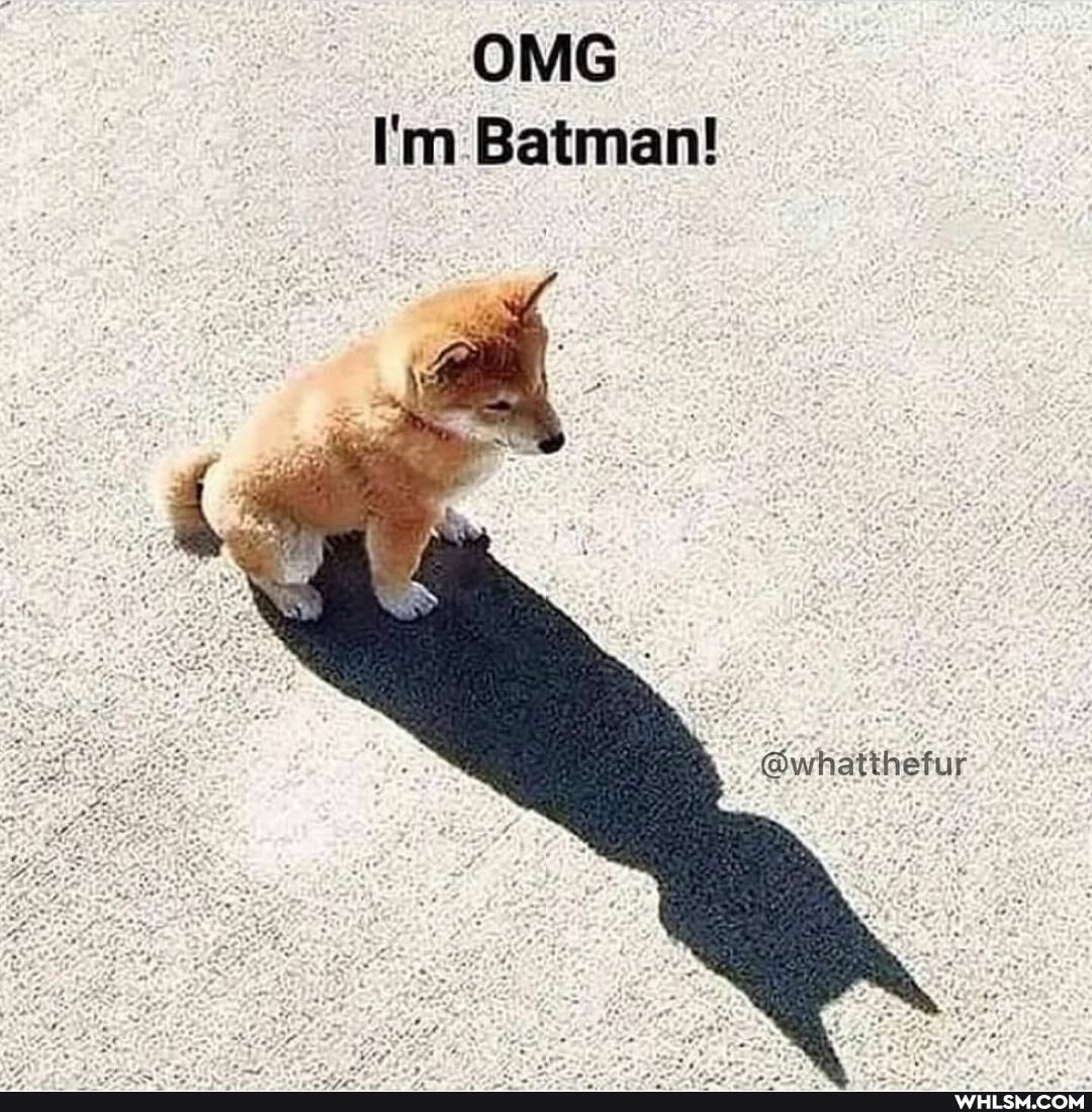 OMG I'm Batman!
_@whatthefur