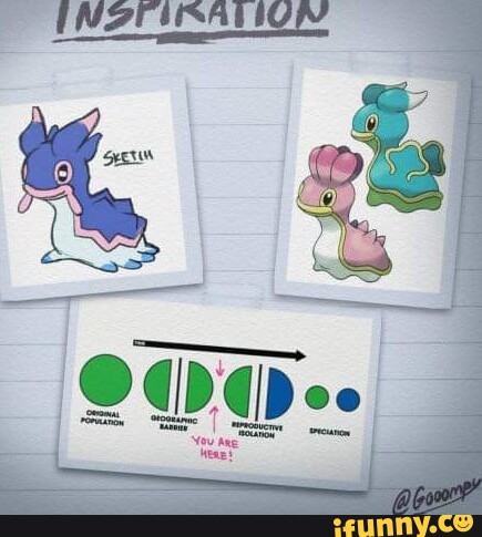 pokemon shellos evolution chart