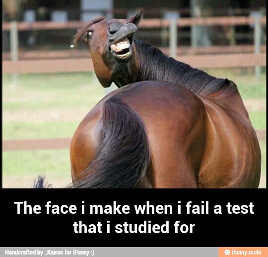 The face i make when i fail a test
that i studied for - The face i make when i fail a test that i studied for
