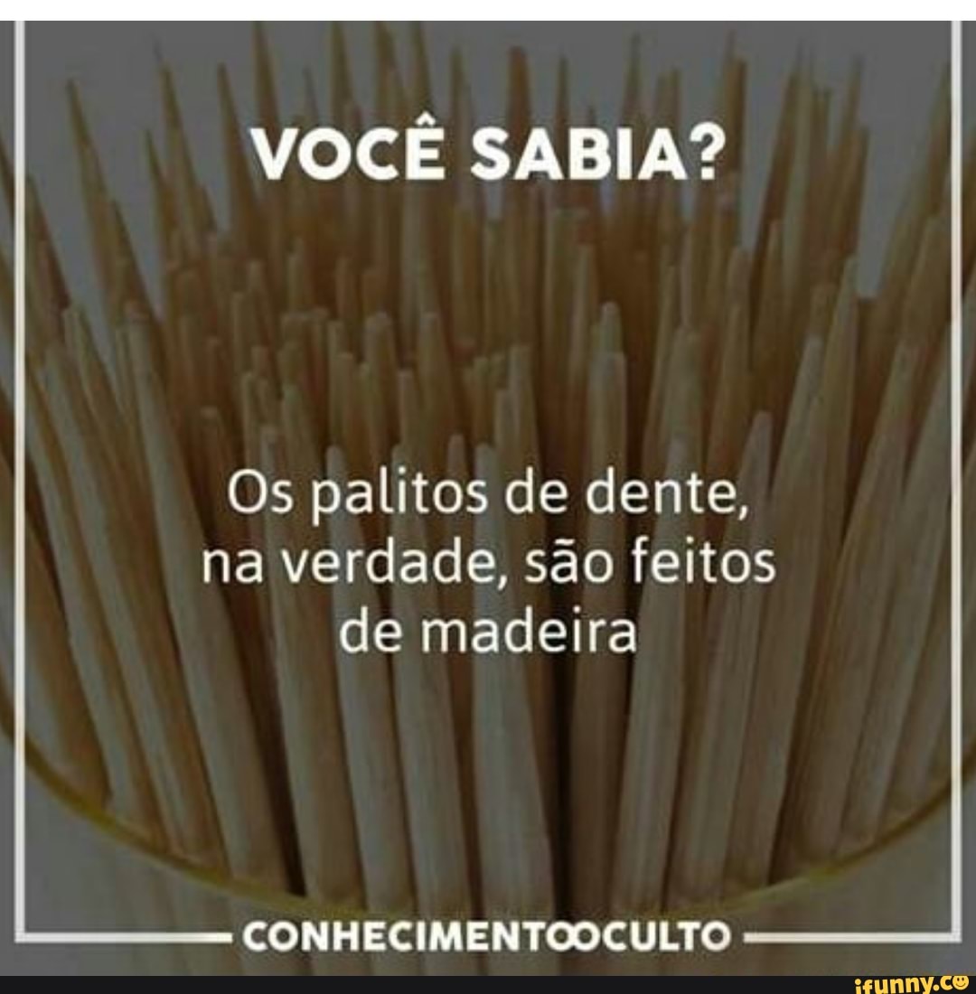 VOCÊ SABIA?
Os palitos de dente,
na verdade, são feitos
de madeira
CONHECIMENTOOCULTO