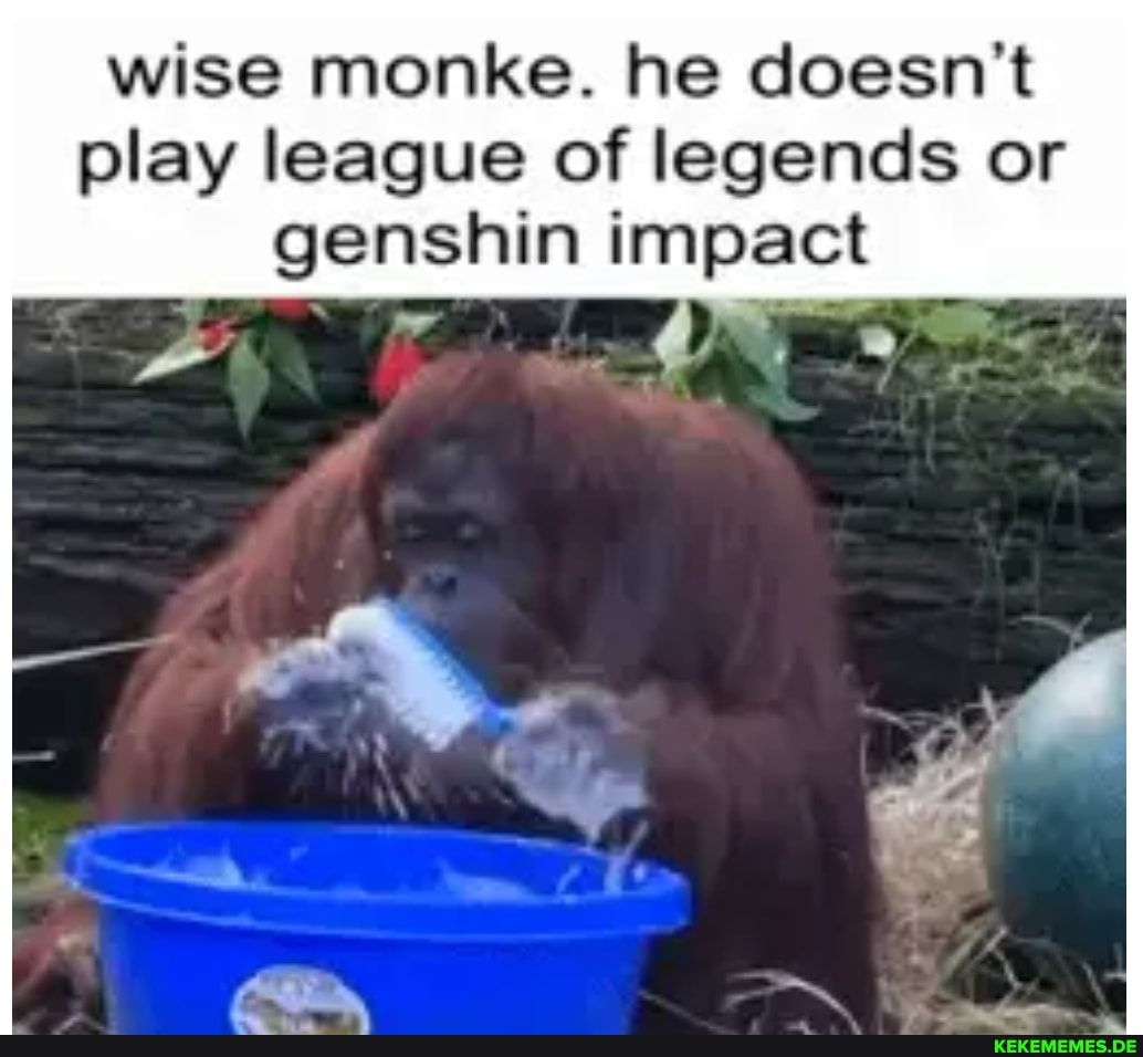wise monke. he doesn't play league of legends or genshin impact