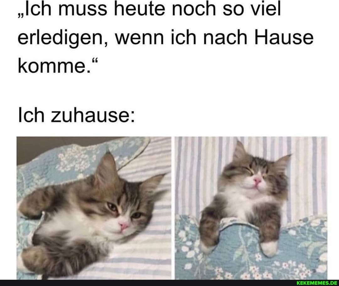 "Ich muss heute noch so viel erledigen, wenn ich nach Hause komme."
Ich zuhause: