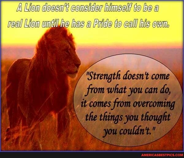 A Liew doesn't consider himself te be a
real Lian witi! has a Pride te call ewn,