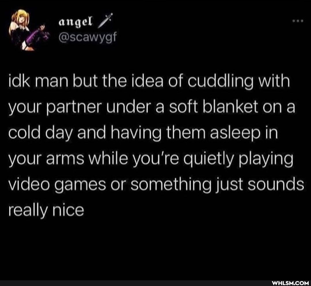 angel
@scawyof
idk man but the idea of cuddling with your partner under a soft blanket on a cold day and having them asleep in your arms while you're quietly playing video games or something just sounds really nice
