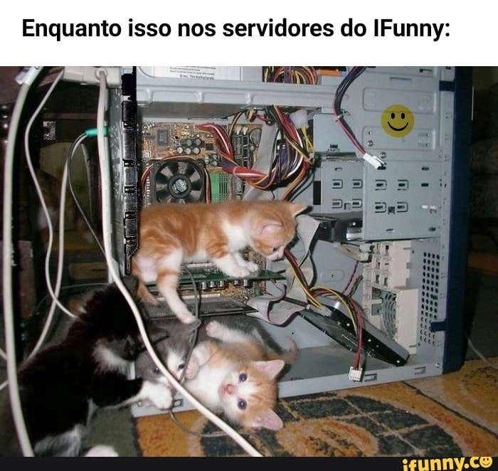 Enquanto isso nos servidores do IFunny:
