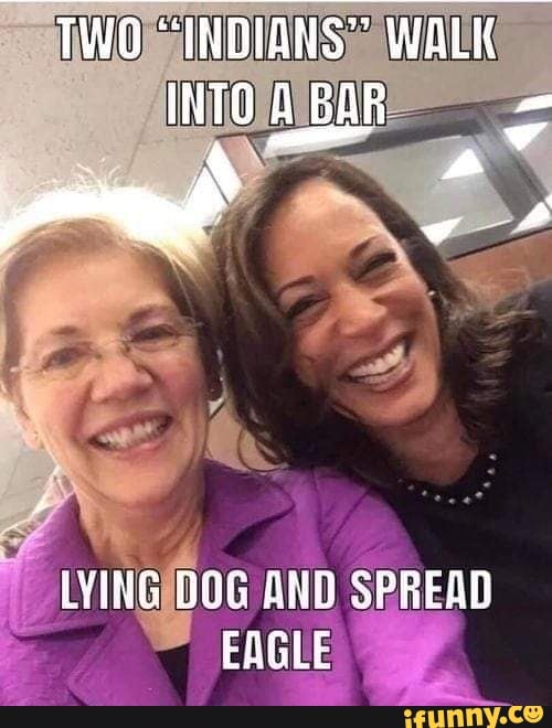 TWO INDIANS WALK INTO BAR LYING DOG SPREAD EAGLE.