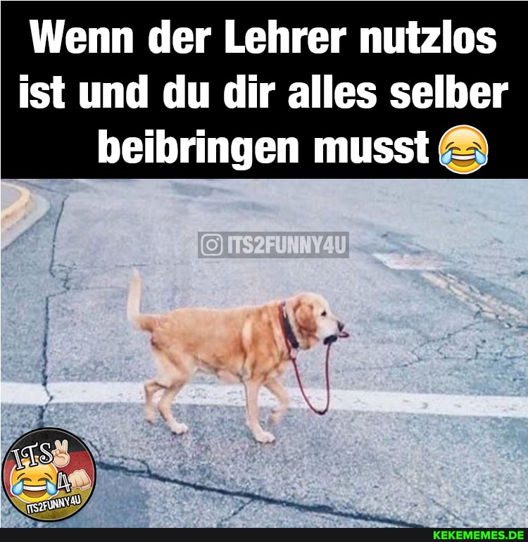 Wenn der Lehrer nutzlos ist und du dir alles selber beibringen musst