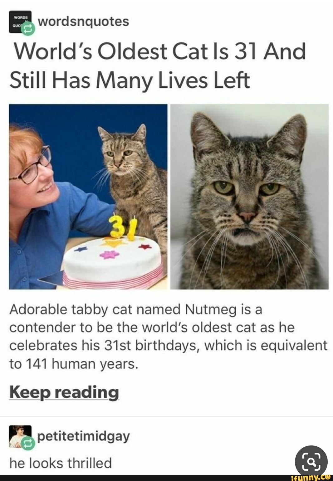 E worasnquotes World's Oldest Cat Is 31 And Still Has Many Lives Left