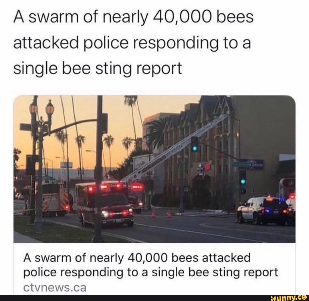 A Swarm Of Nearly 40000 Bees Attacked Police Responding To A Single Bee Sting Report A Swarm Of