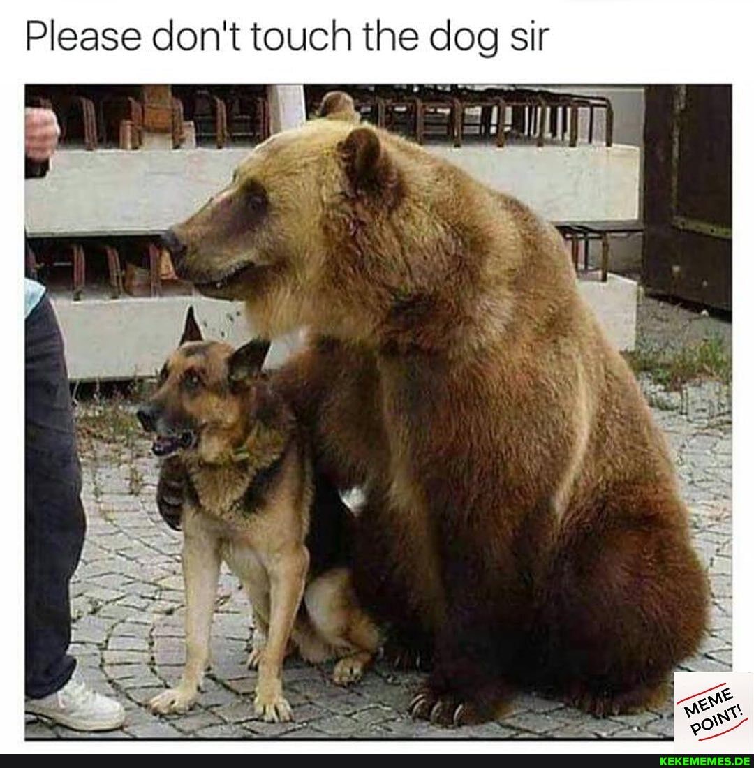 Please don't touch the dog sir