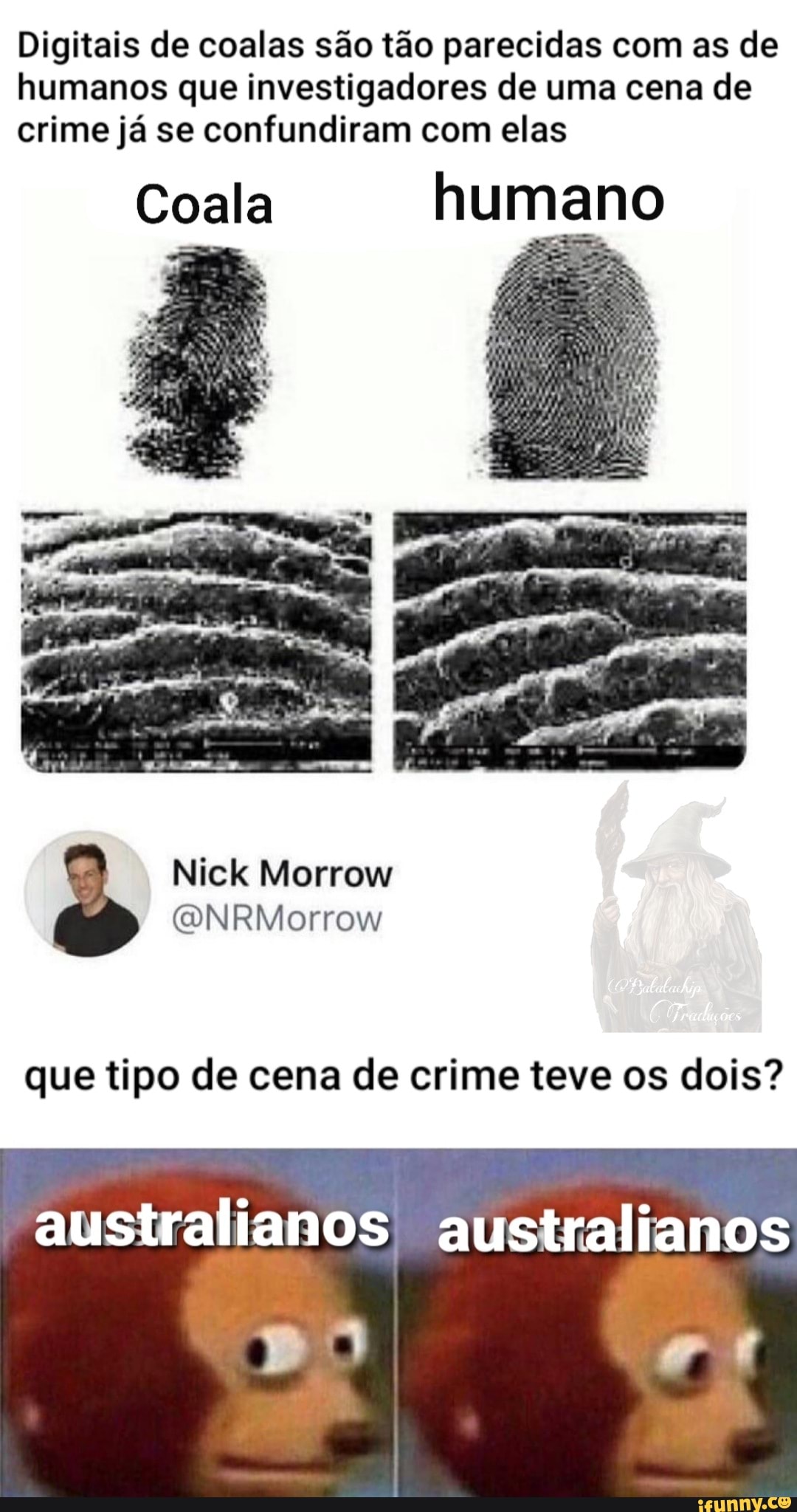 Digitais de coalas são tão parecidas com as de humanos que investigadores de uma cena de crime já se confundiram com elas
Coala humano
Nick Morro
que tipo de cena de crime teve os dois?
australianos australianos