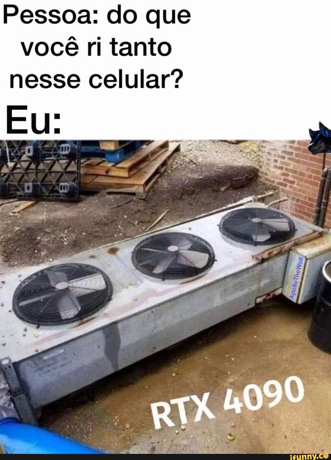 Pessoa: do que você ri tanto nesse celular?
Eu: