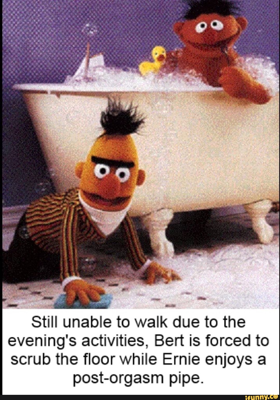 Sesame Street memes.