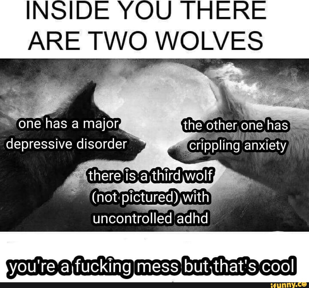 INSIDE YOU THERE ARE TWO WOLVES one has a major 'the other one has