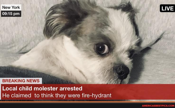BREAKING NEWS
Local child molester arrested
He claimed to think they were fire-hydrant