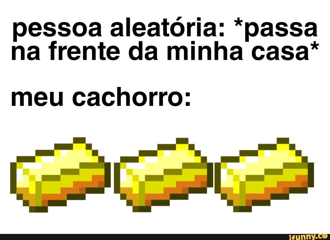 pessoa aleatória: *passa na frente da minha casa*
meu cachorro: