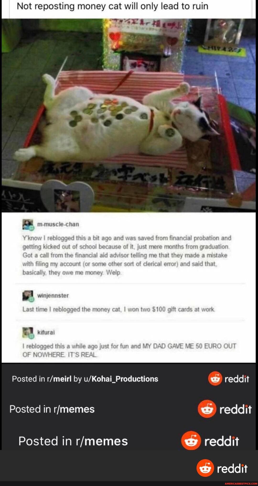 Not reposting money cat will only lead to ruin
know I reblogged this a bit ago and was saved from financial probation and getting kicked out of school because of it, just me months from graduation
Got a call from the financial aid advis telling me at they made a mistake
with filing my account (or some other sort of clerical error) and said that
basically, they owe me money. Welr
winjgennster
kifurai
Last time I reblogged the money ca I won wo $100 gift cards at work
reblogged t a while ago just for fun and M) \D GAVE ME 50 EUR OUT OF NOW
Posted in by reddit
Posted in rimemes reddit
Posted in reddit
reddit