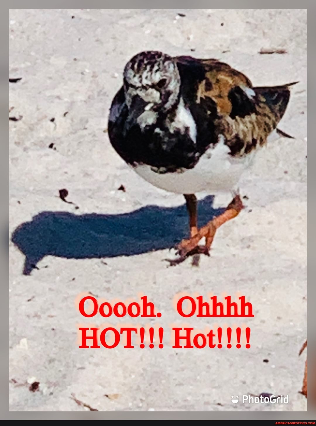 Ooooh. Ohhhh
HOT!!! Hot!!!
ho foas