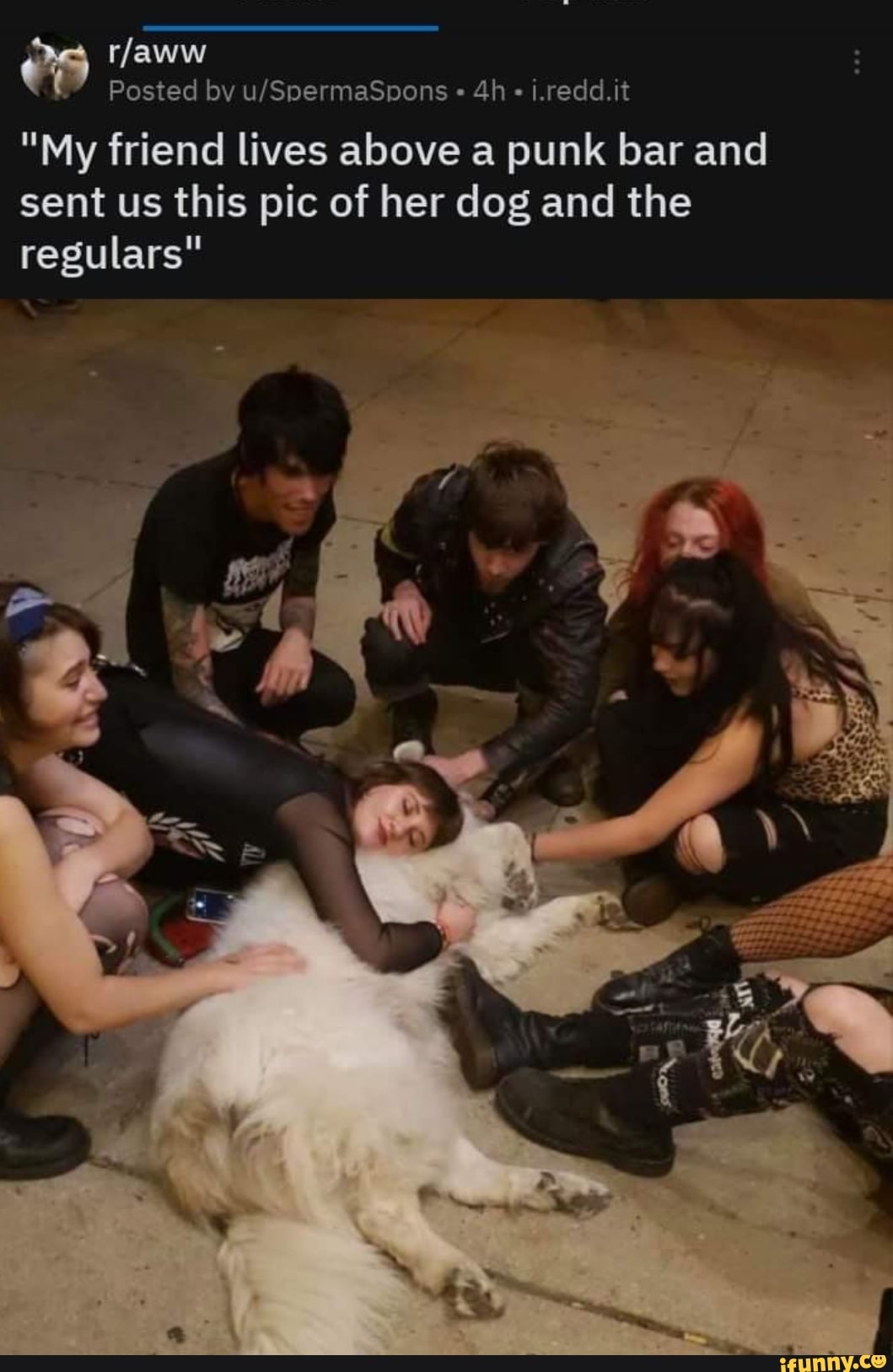 es rlaww
Posted by " " i.redd.it
"My friend lives above a punk bar and sent us this pic of her dog and the regulars"