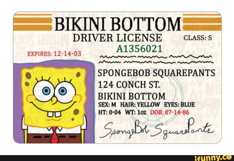 BIKINI BOTTOM= DRIVER LICENSE _ CLass: SPONGEBOB SQUAREPANTS 124 CONCH ...