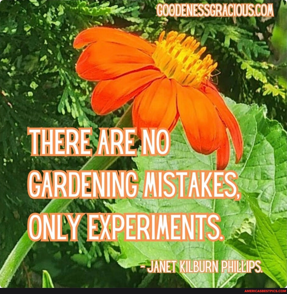 THERE ARE NO GARDENING MISTAKES, ONLY EXPERIMENTS. JANET KILBURN ...