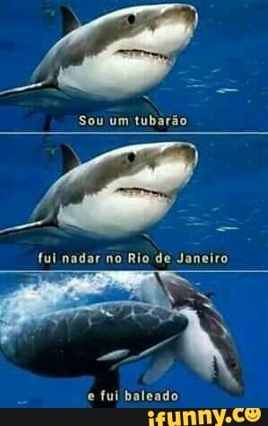 Sou um tubarão fui nadar no Rio de Janeiro e fui baleado - iFunny