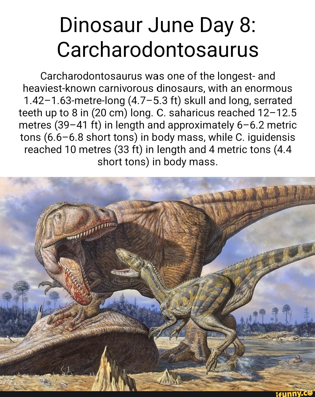 Carcharodontosaurus memes. Best Collection of funny Carcharodontosaurus ...