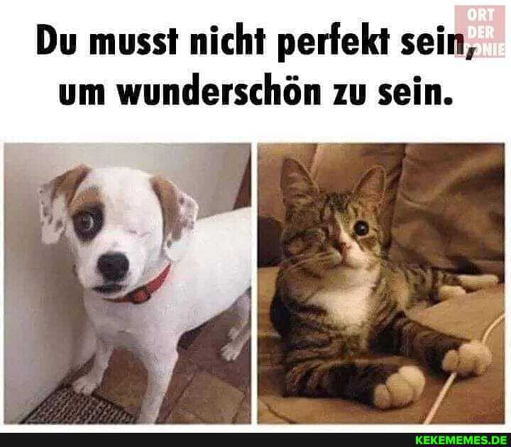 Du musst nicht perfekt sein, um wunderschön zu sein.